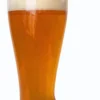 Plastic Beer Boot2 Liter -Deals Steinking Store PL6000 SM 22016.1447704750