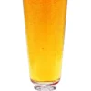 Traditions 0.5 Liter Pilsner Beer Glass -Deals Steinking Store Pilsner Beer Glass SM 47139.1424452969